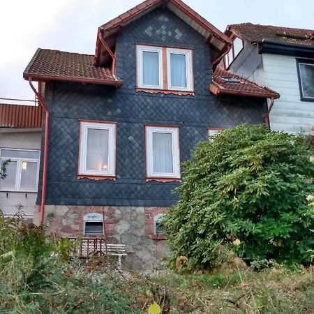 Vakantiehuis Julia Villa Bad Sachsa Exterior foto